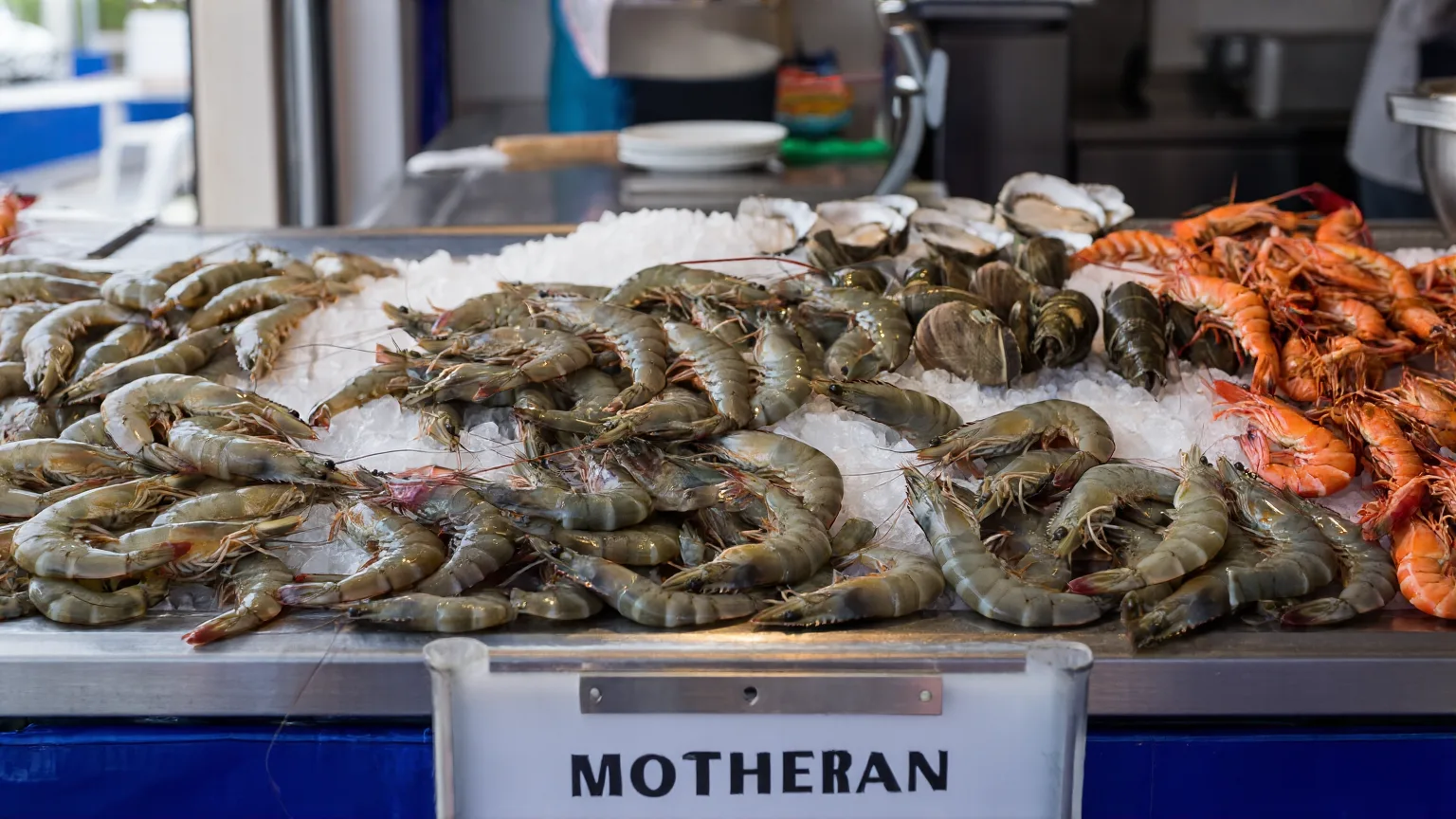 Crustaceans — Marbella Seafood